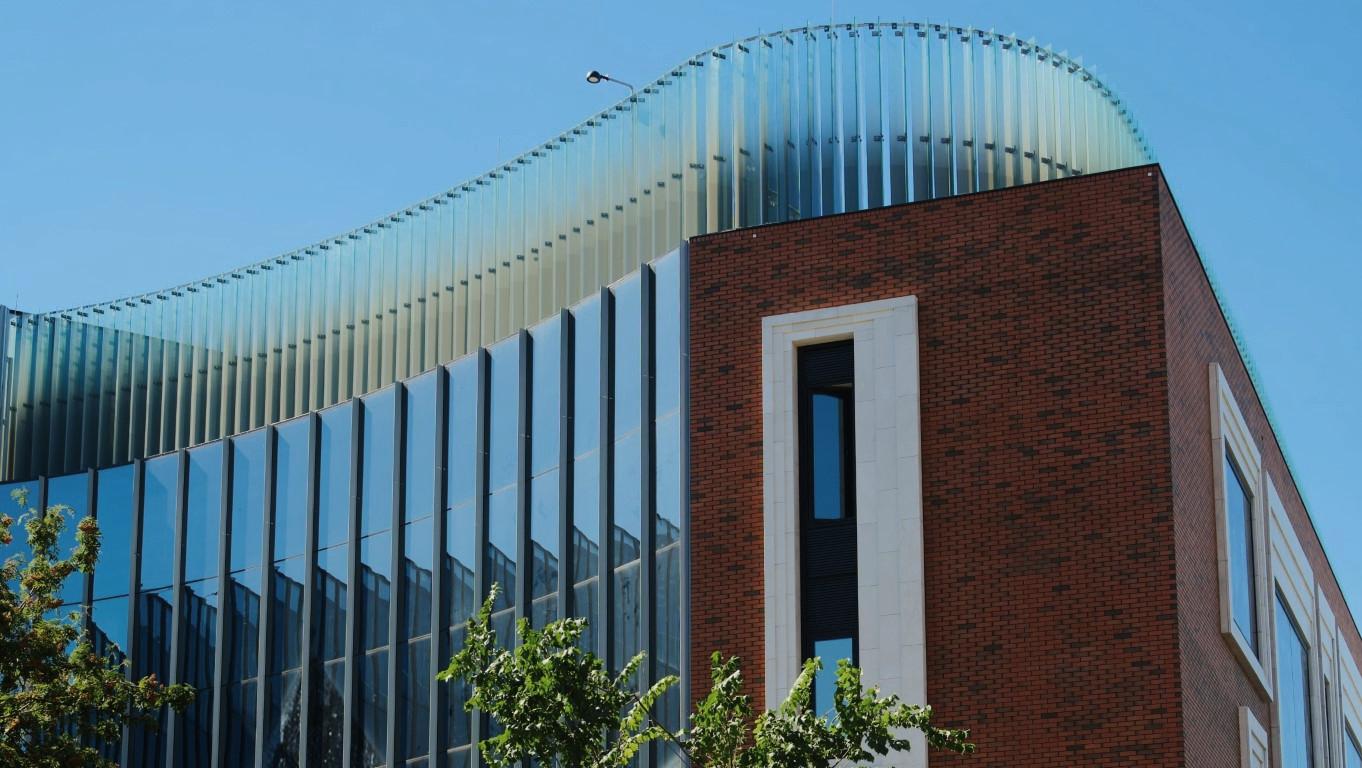 Elena Agaeva to Speak at Pravo.ru Conference on the Regulation of the Digital Industry