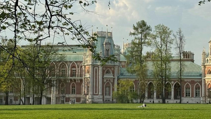 Вера Рихтерман проведет мастер-класс по медиации для топ-менеджеров AmCham Russia